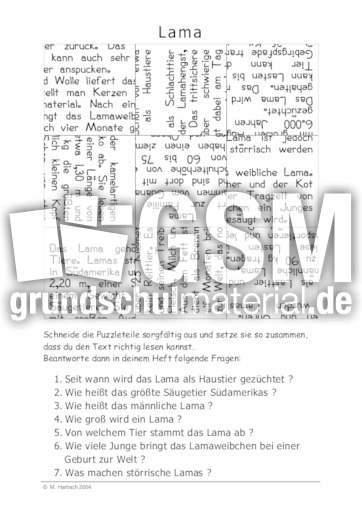 Lama.pdf